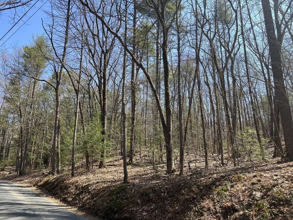 Shutesbury, MA 01072,Lot 2, January Hills Road