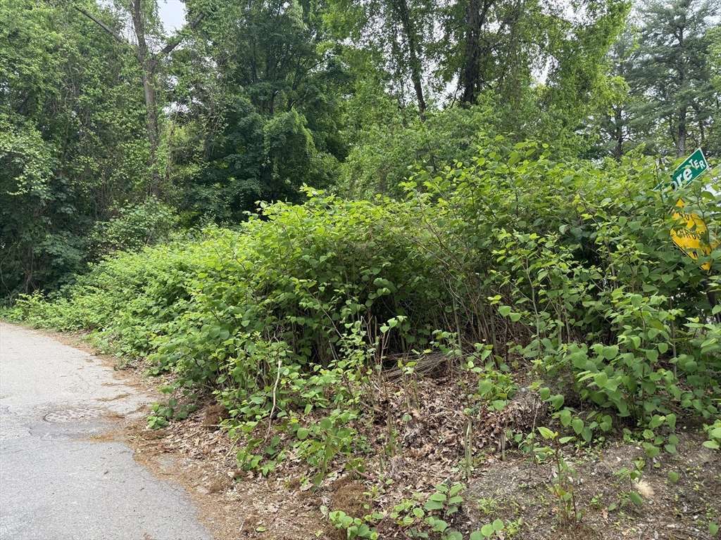 Wellesley, MA 02482,4 Shore Rd