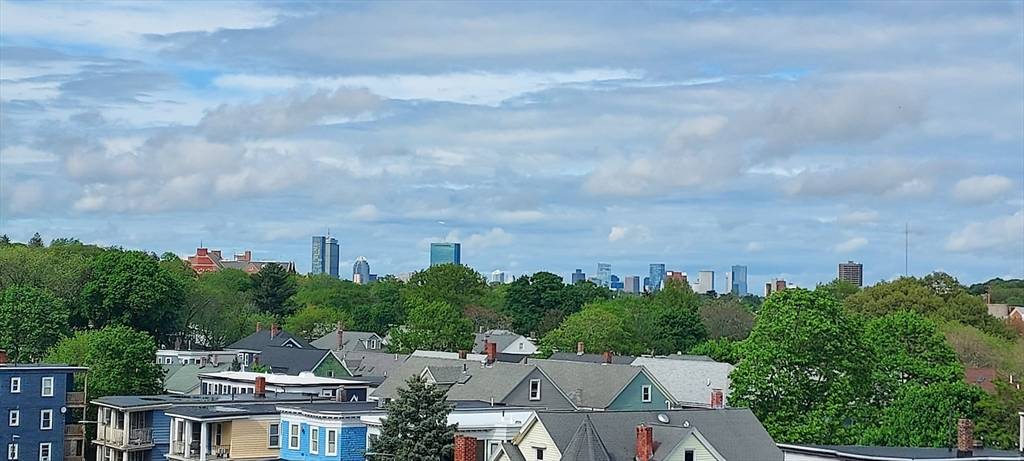 Boston, MA 02130,388 Arborway