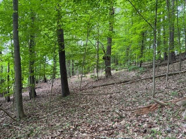 Bernardston, MA 01337,56 Brattleboro Rd