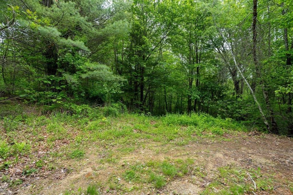 Oakham, MA 01068,0 Bullard Rd
