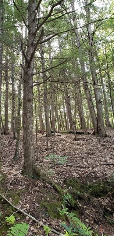 Lot 3 Town Hill Rd Sandisfield, MA 01255