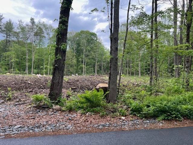 Oakham, MA 01068,Lot 38 Edson