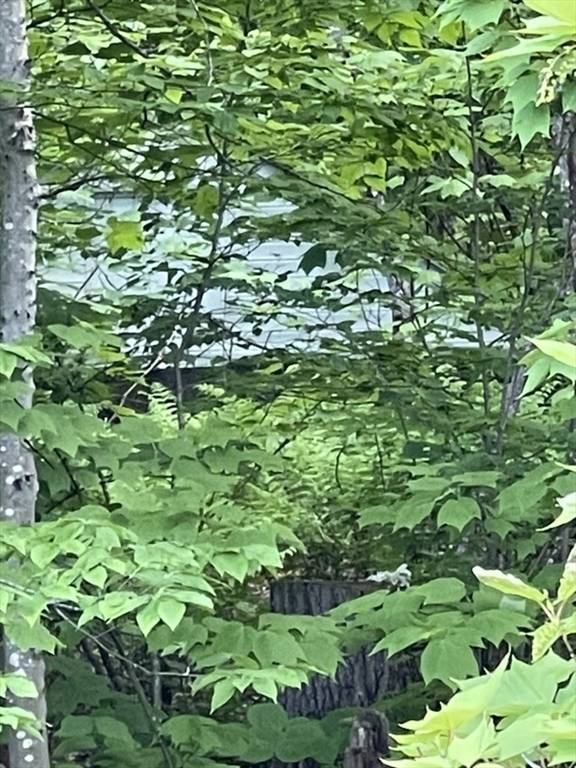 North Adams, MA 01247,2438 Mohawk Trail