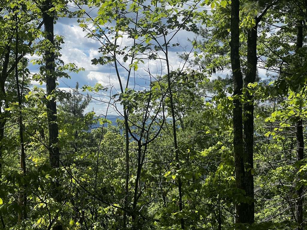 Montague, MA 01351,Lot 2 Hannabrooke Lane