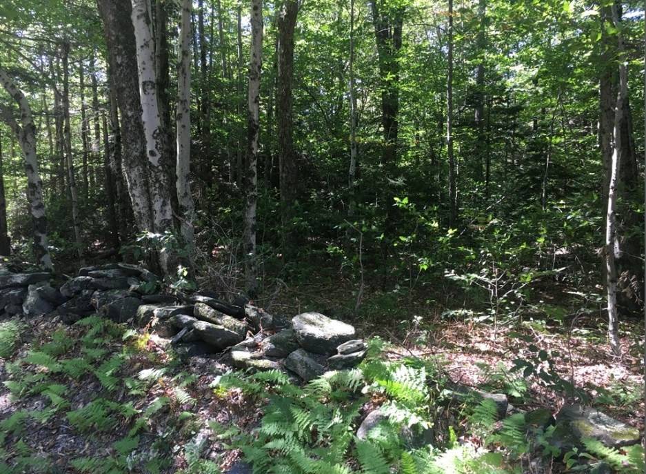 Plainfield, MA 01070,39 Bow St