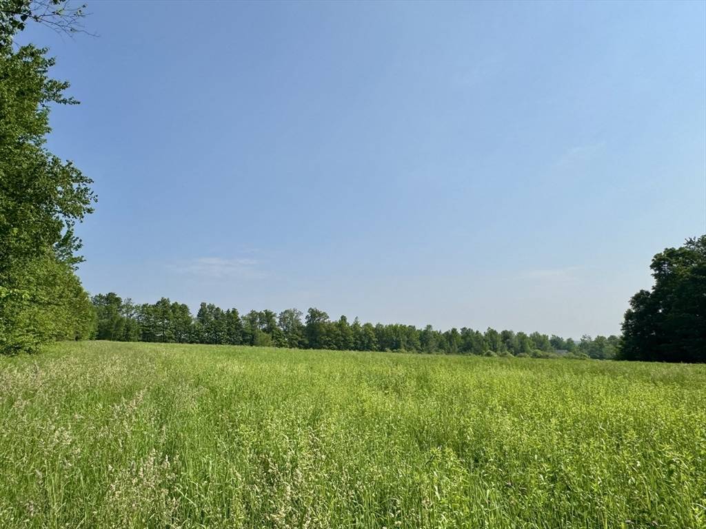 Hawley, MA 01339,292 East Hawley Road