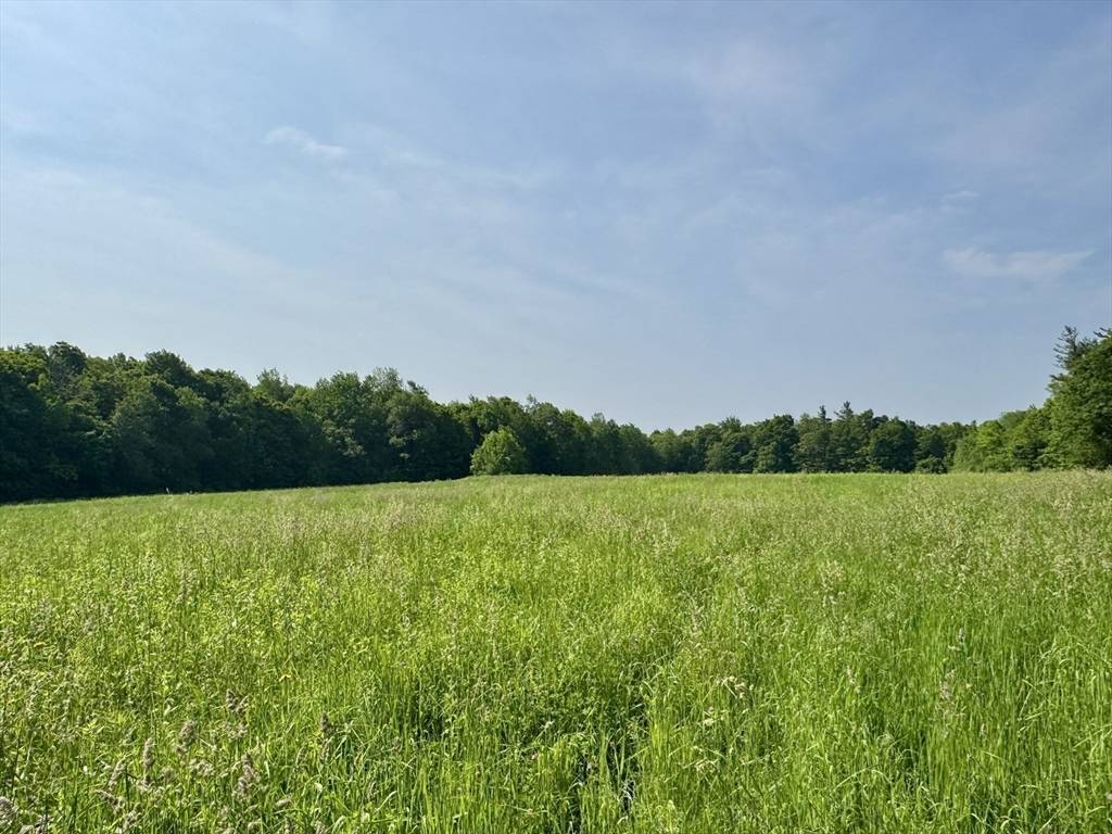 Hawley, MA 01339,292 East Hawley Road