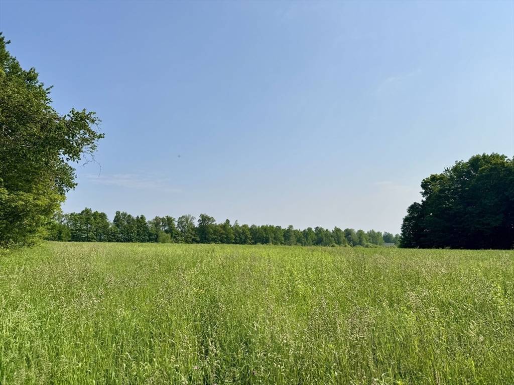 Hawley, MA 01339,292 East Hawley Road