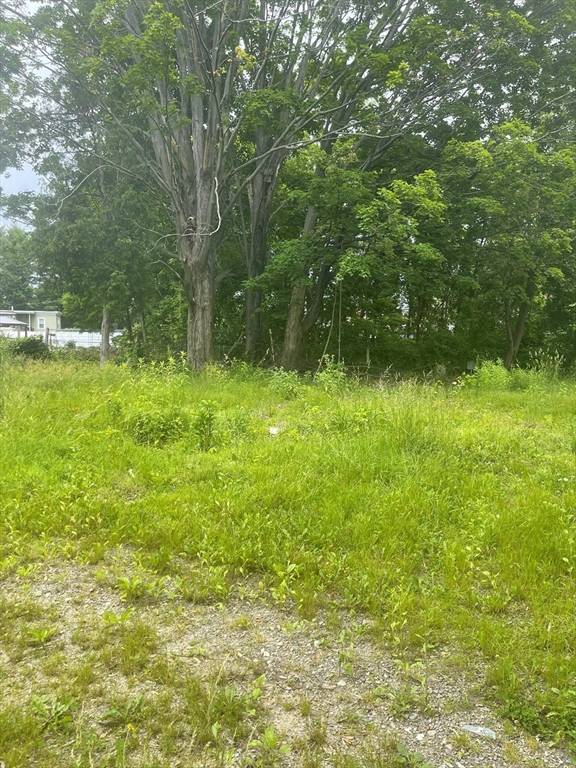 Lowell, MA 01851,4 Tamarack St