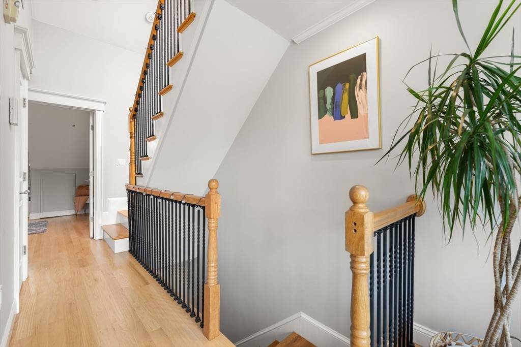 Boston, MA 02118,641 Tremont St #3
