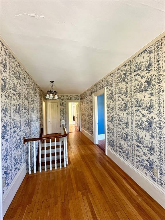 Newton, MA 02464,984 Chestnut Street #2