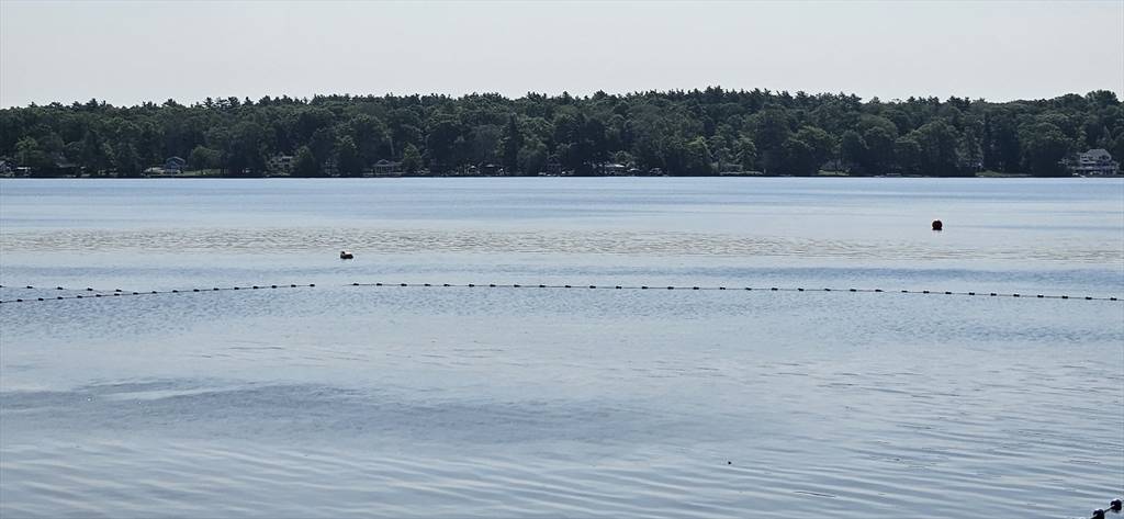 Lakeville, MA 02347,15 Violet St