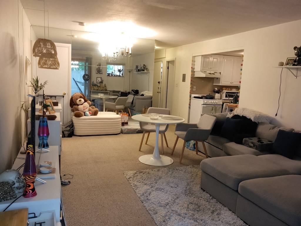 Brookline, MA 02446,53 St Paul #3