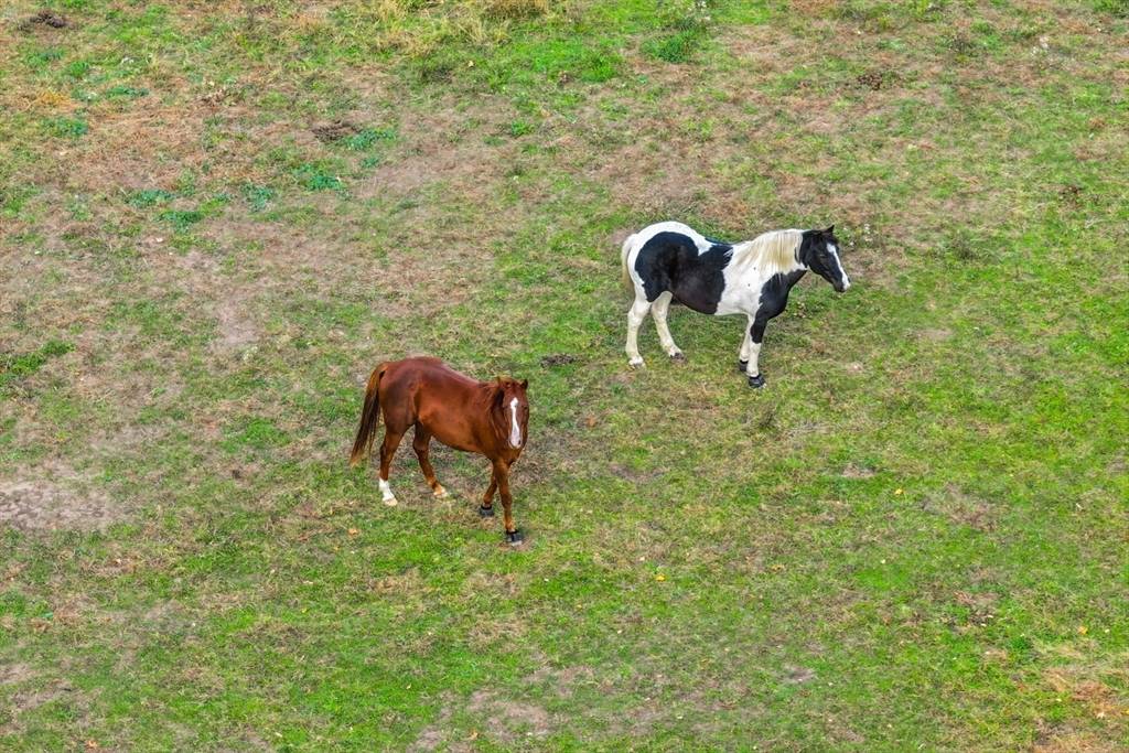 Rochester, MA 02770,0-A3 Marys Pond Road