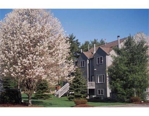 Dover, MA 02030,40 Tisdale Dr #40