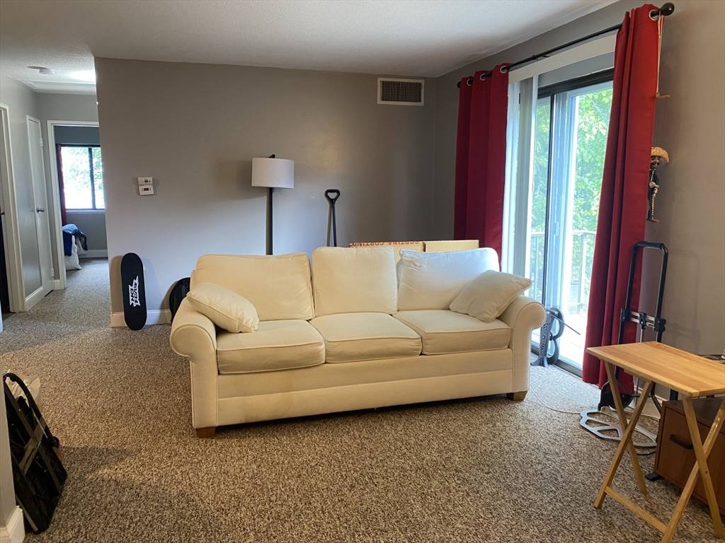 Natick, MA 01760,14 Village Green Lane #6