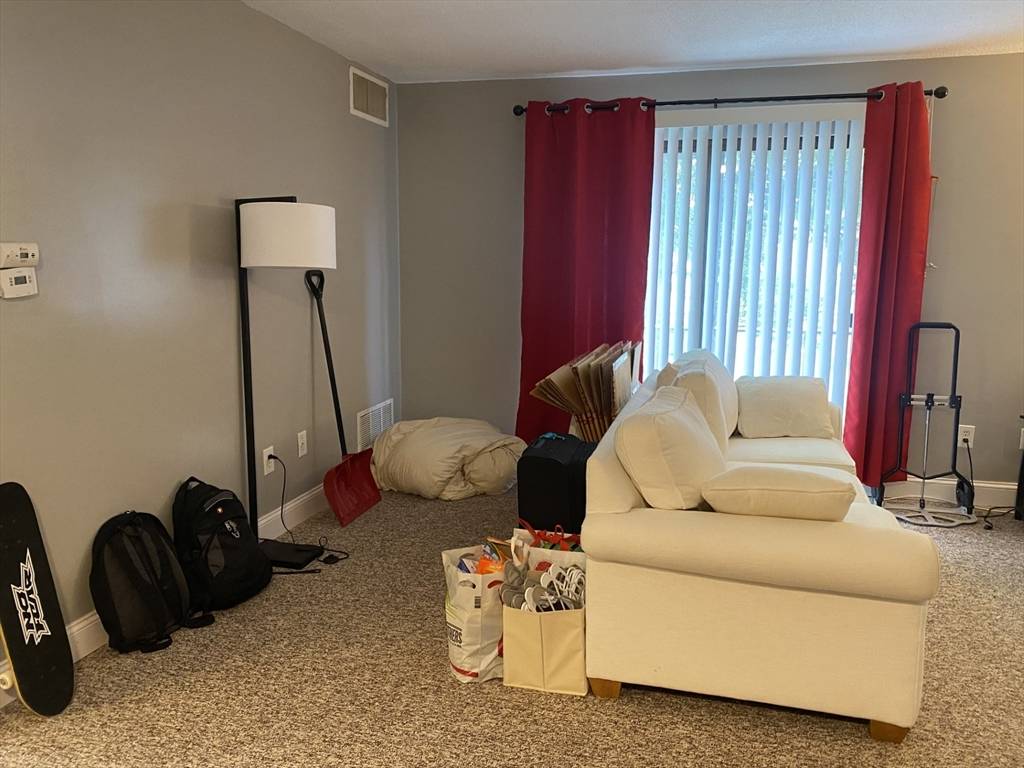 Natick, MA 01760,14 Village Green Lane #6