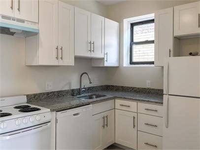 Brookline, MA 02446,395 Harvard St #5