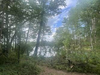 Andover, MA 01810,8 Penobscot Way