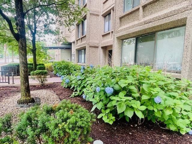 Brookline, MA 02445,1731 Beacon #1110