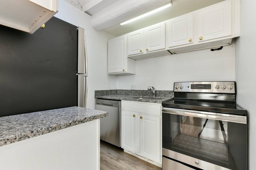 Boston, MA 02118,99 W. Springfield St #4