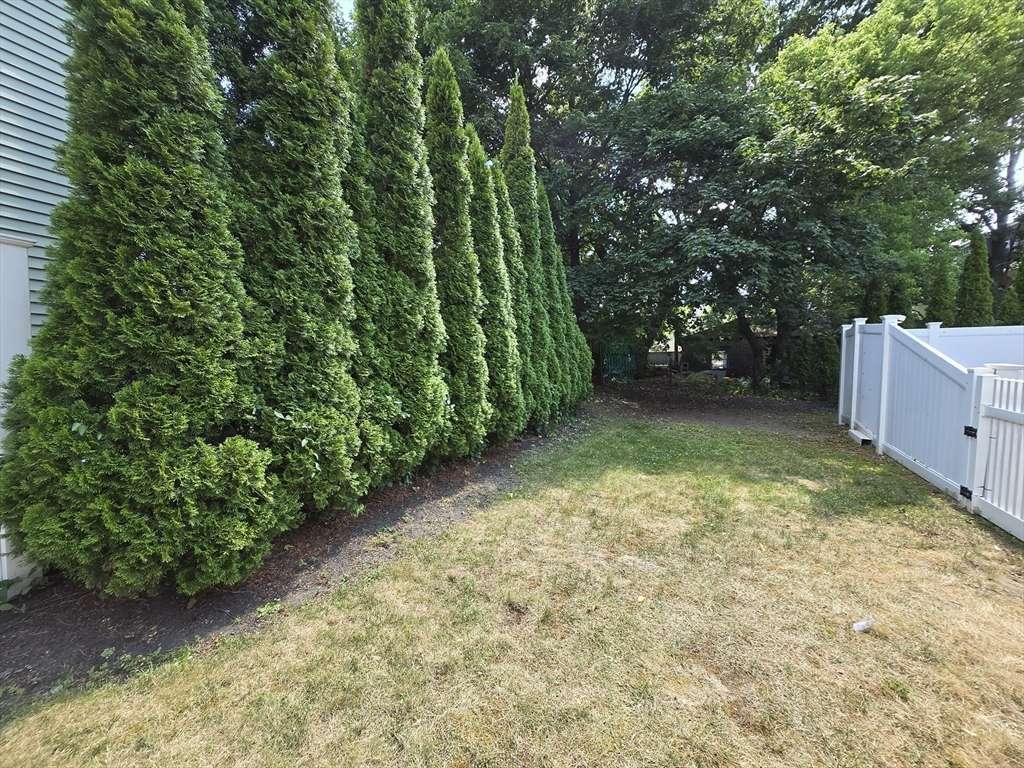 Newton, MA 02458,53 West St