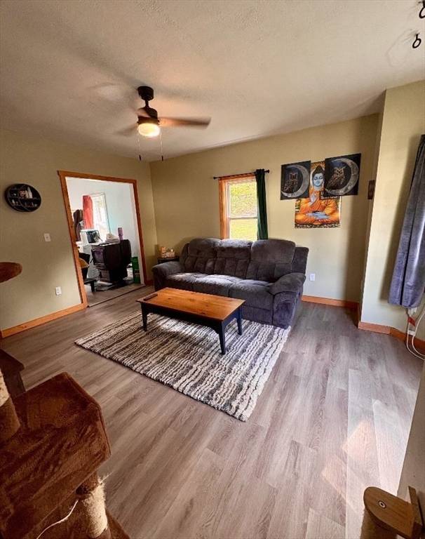 Warren, MA 01083,31 Carpenter St