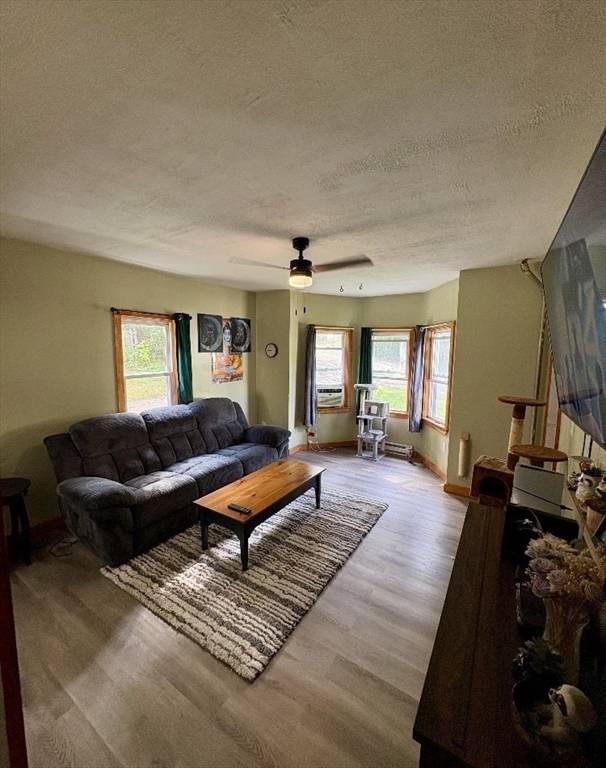Warren, MA 01083,31 Carpenter St