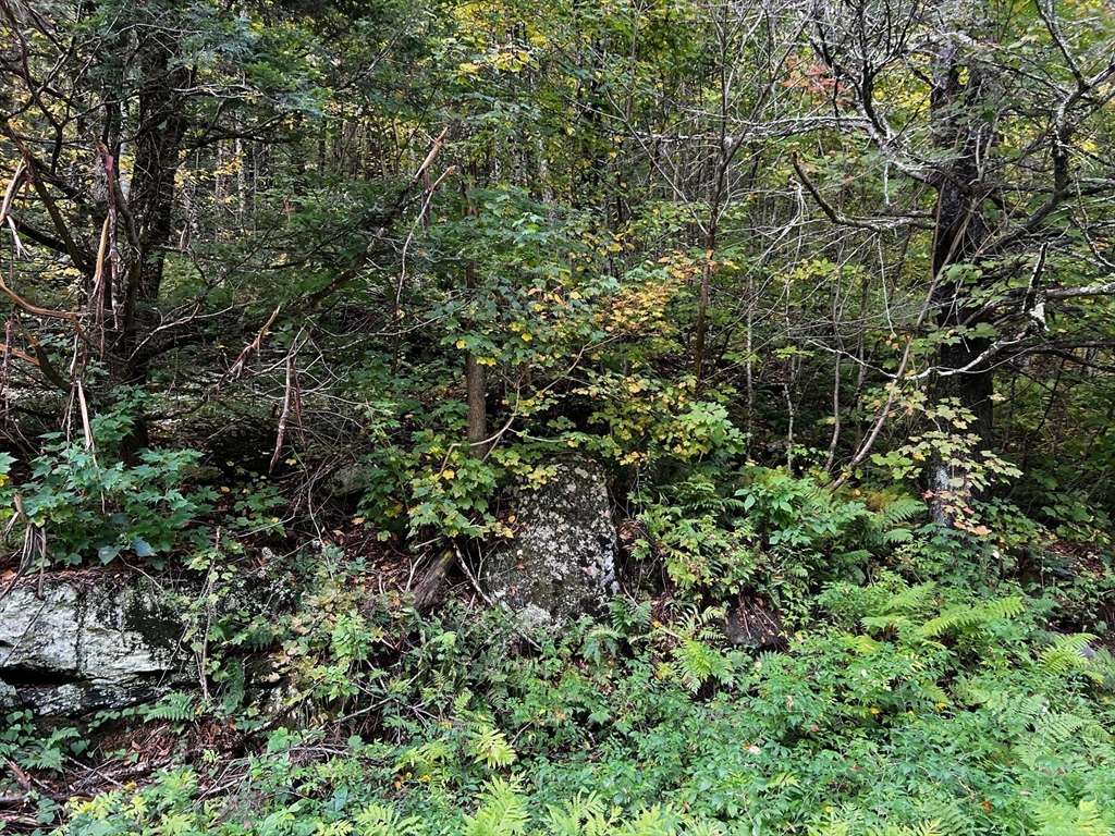 Hawley, MA 01339,0 W Hawley Rd