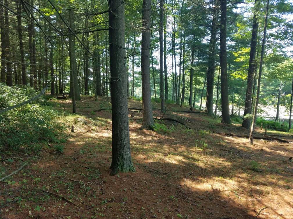 Sturbridge, MA 01518,266 Holland Rd