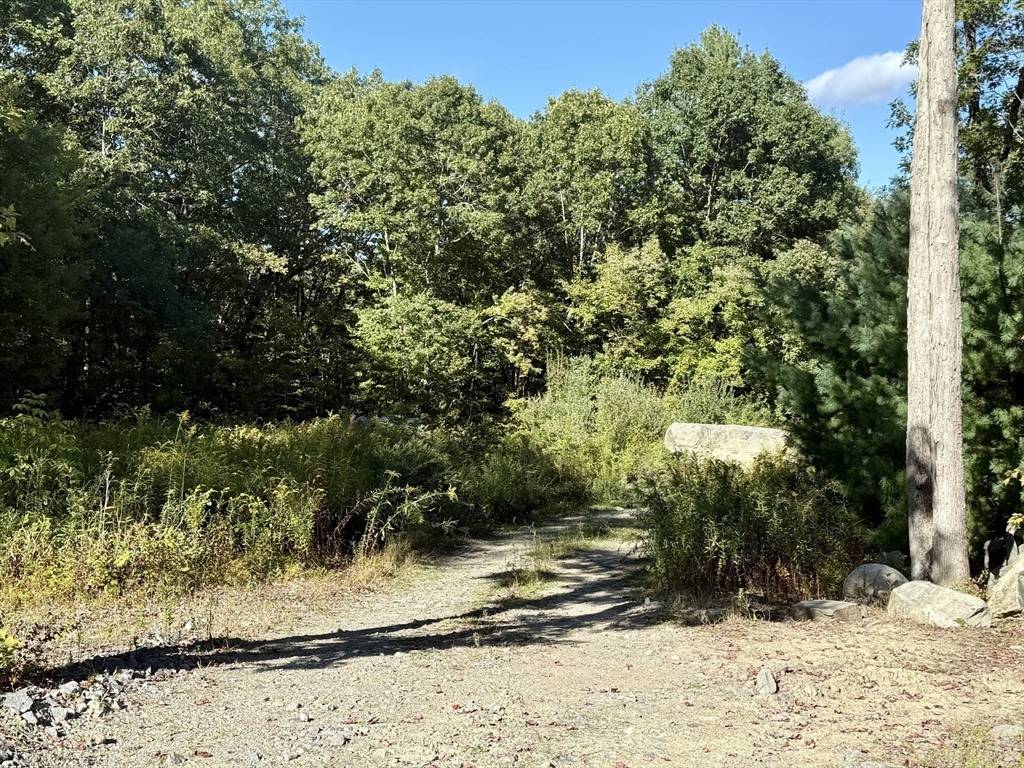 Wrentham, MA 02093,25 Nature Vw Dr