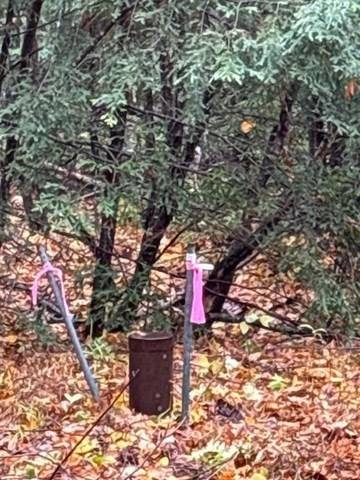 Blandford, MA 01008,0 Otis Stage Rd