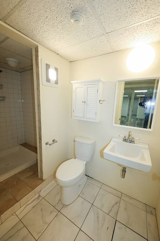 Newton, MA 02464,1026 Chestnut St #B