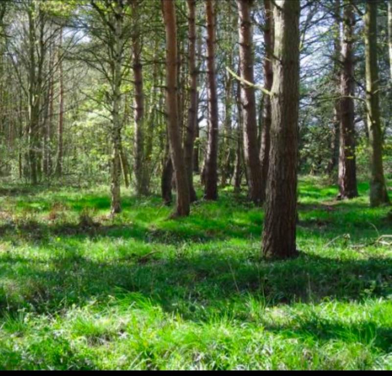 Easton, MA 02256,LOT 1 Winterberry Ln