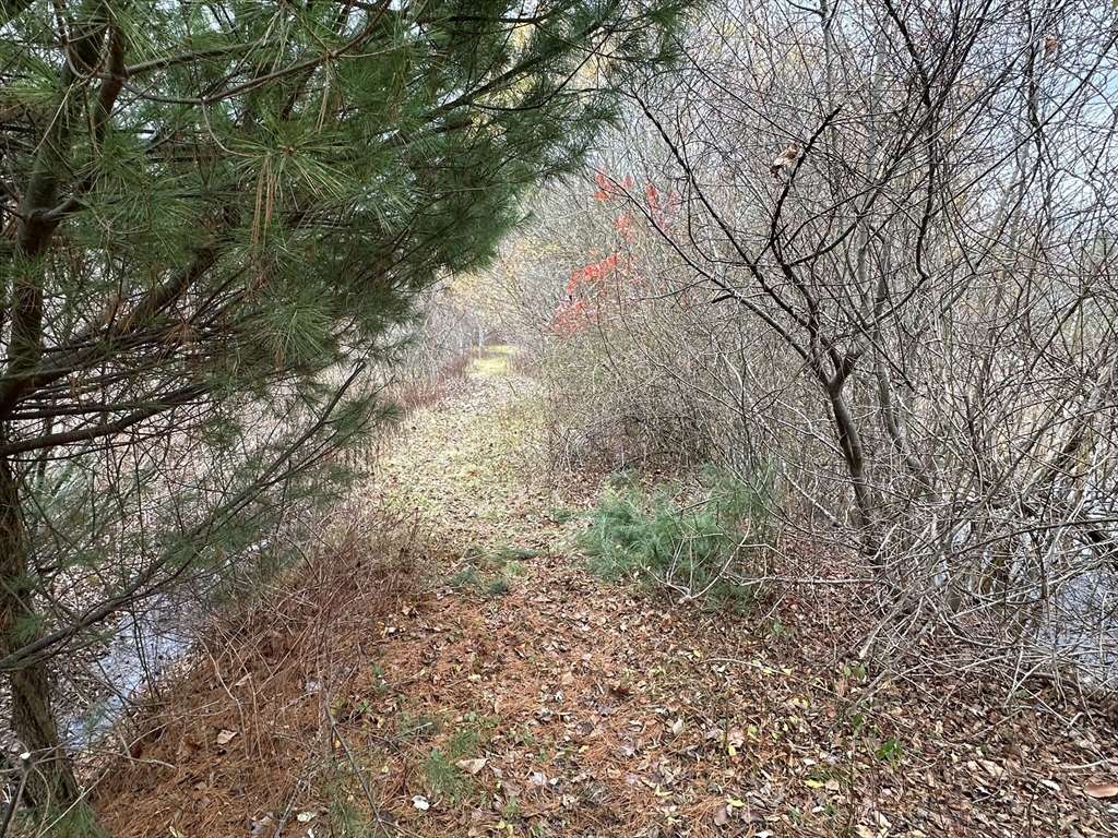 Lakeville, MA 02347,0 Cross Street (Rear)