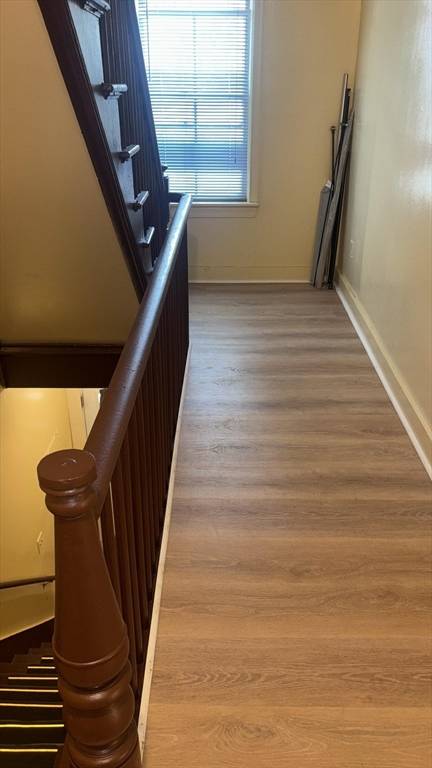 Worcester, MA 01609,24 Newbury St #2