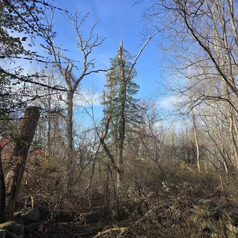 Milton, MA 02186,79 Hillside St