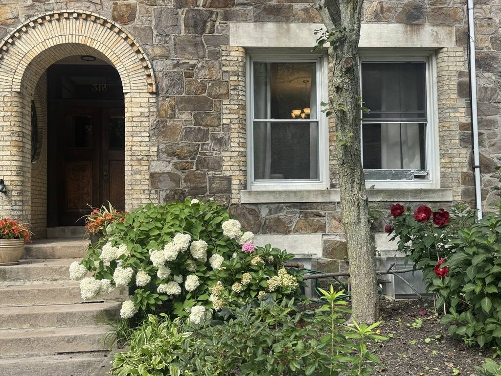 Brookline, MA 02445,318 Tappan Street #3