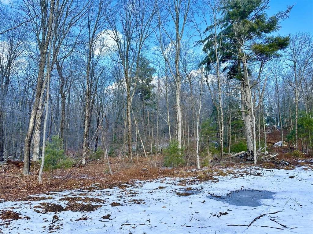 Sutton, MA 01590,126 Burbank Rd Lot 1