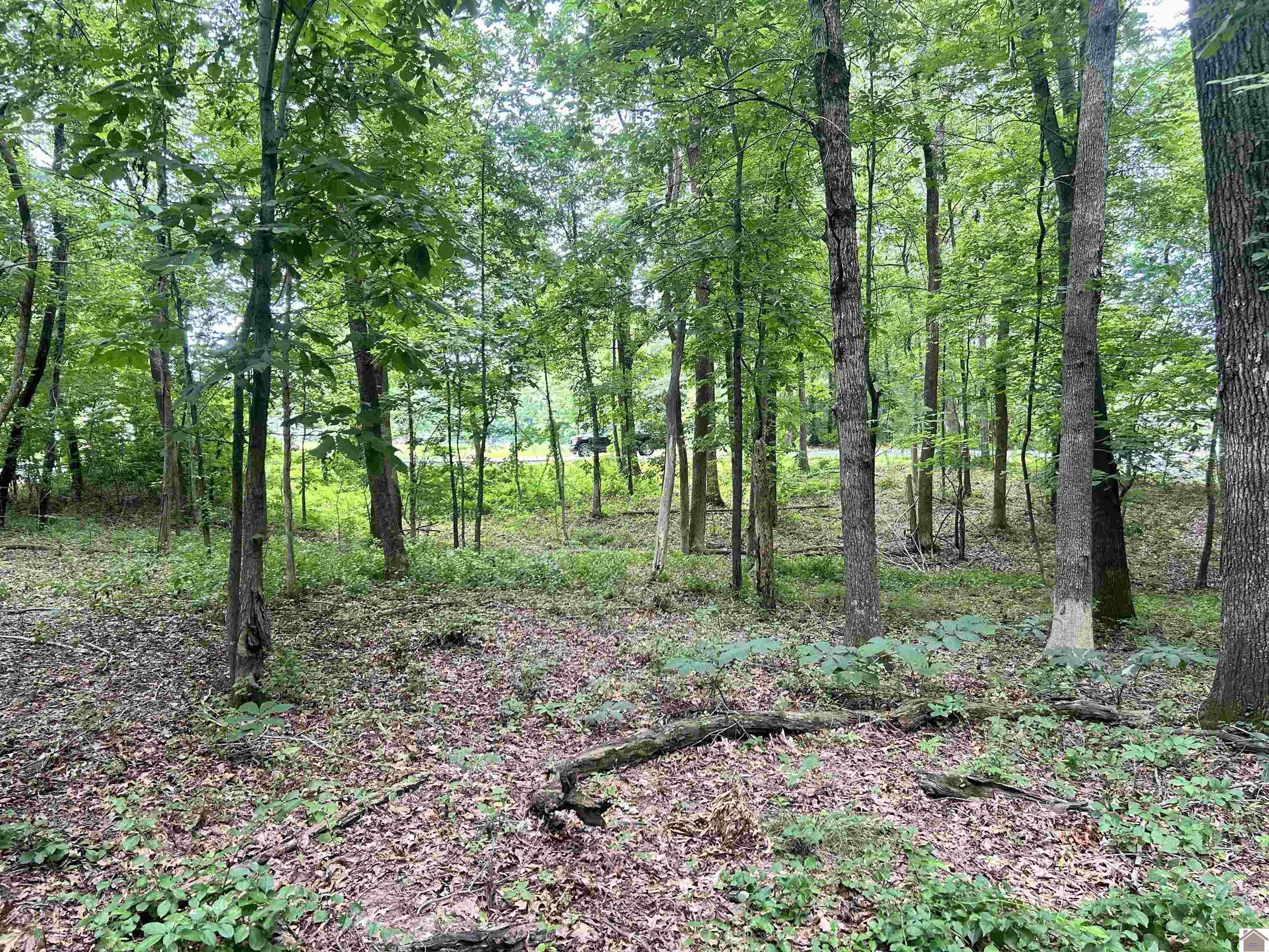 Mccracken C, KY 42001,650 S Gum Springs Rd