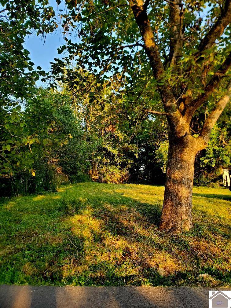 Princeton, KY 42445,814 Old Madisonville Road