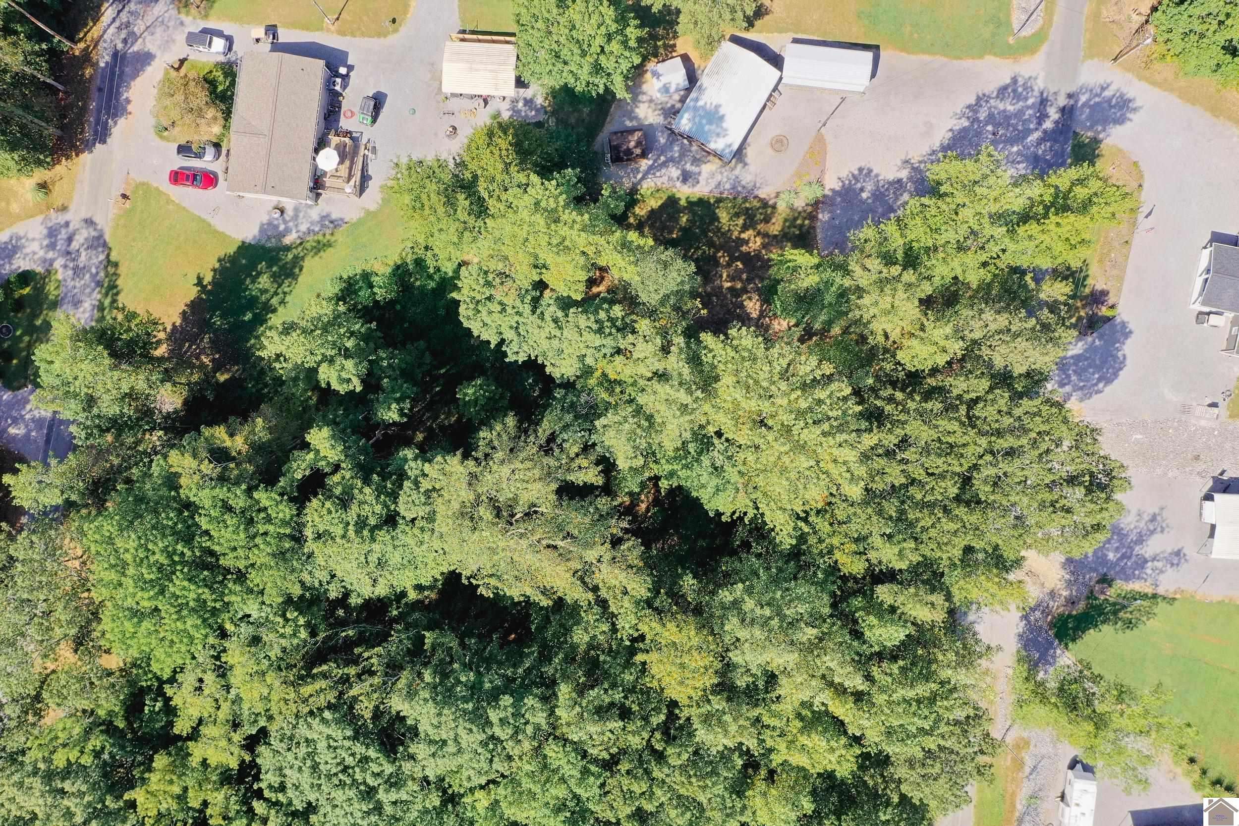 Cadiz, KY 42211,Lot 81 Rockcastle Lakeshore Dr.