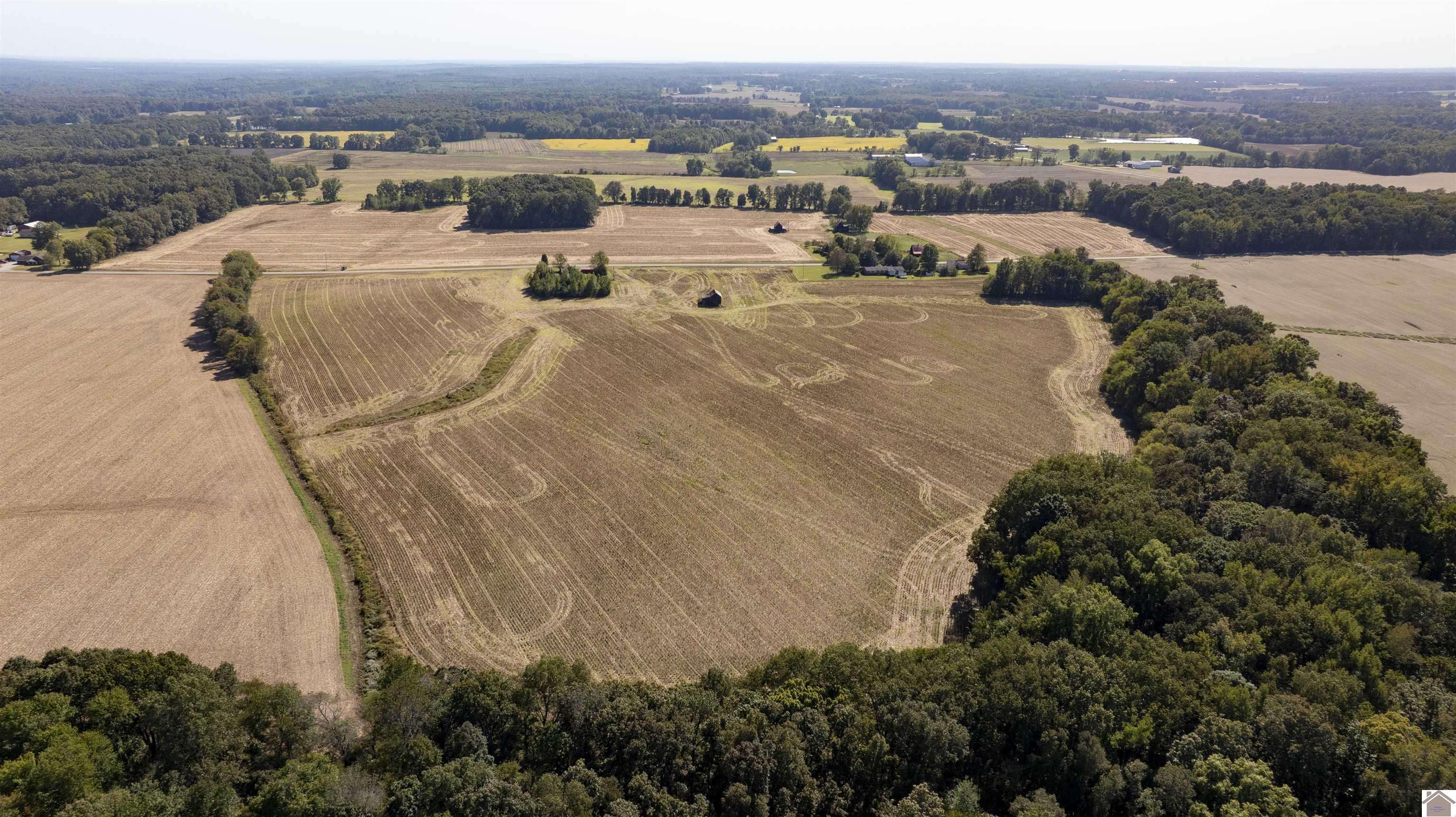 Hazel, KY 42049,000 State Line Road East