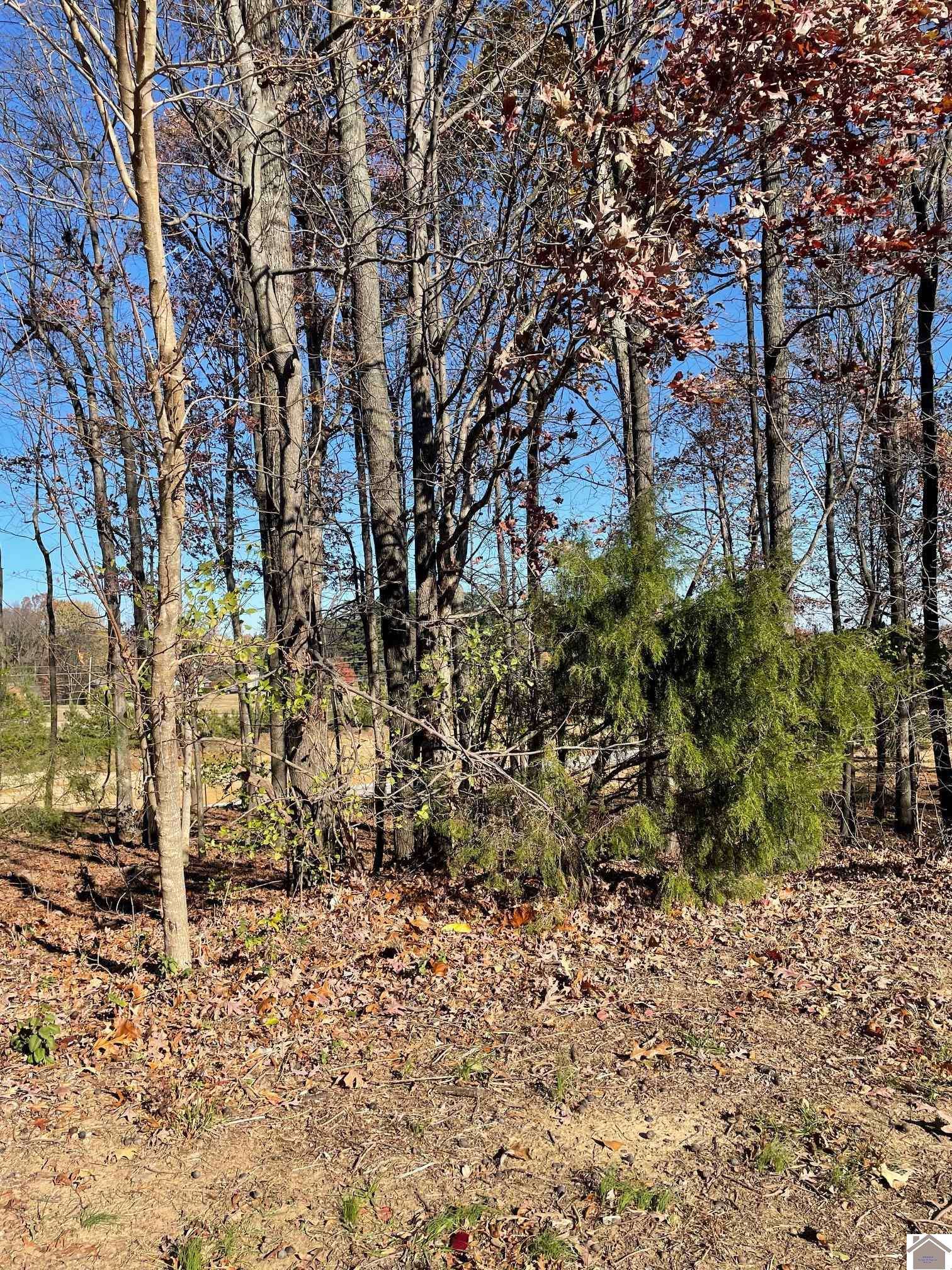 Paducah, KY 42003,Lot 85 Forest Ridge Drive