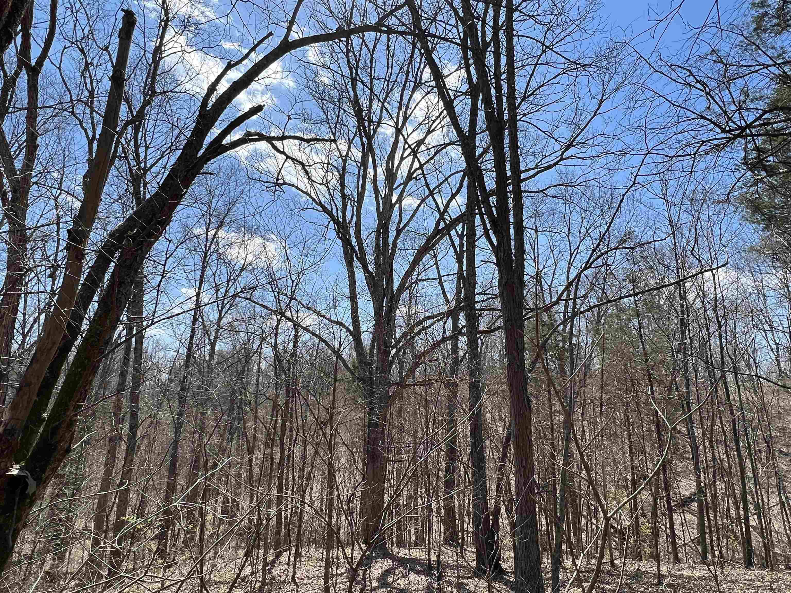Ky Other, KY 41083,Knox Lillard Rd.