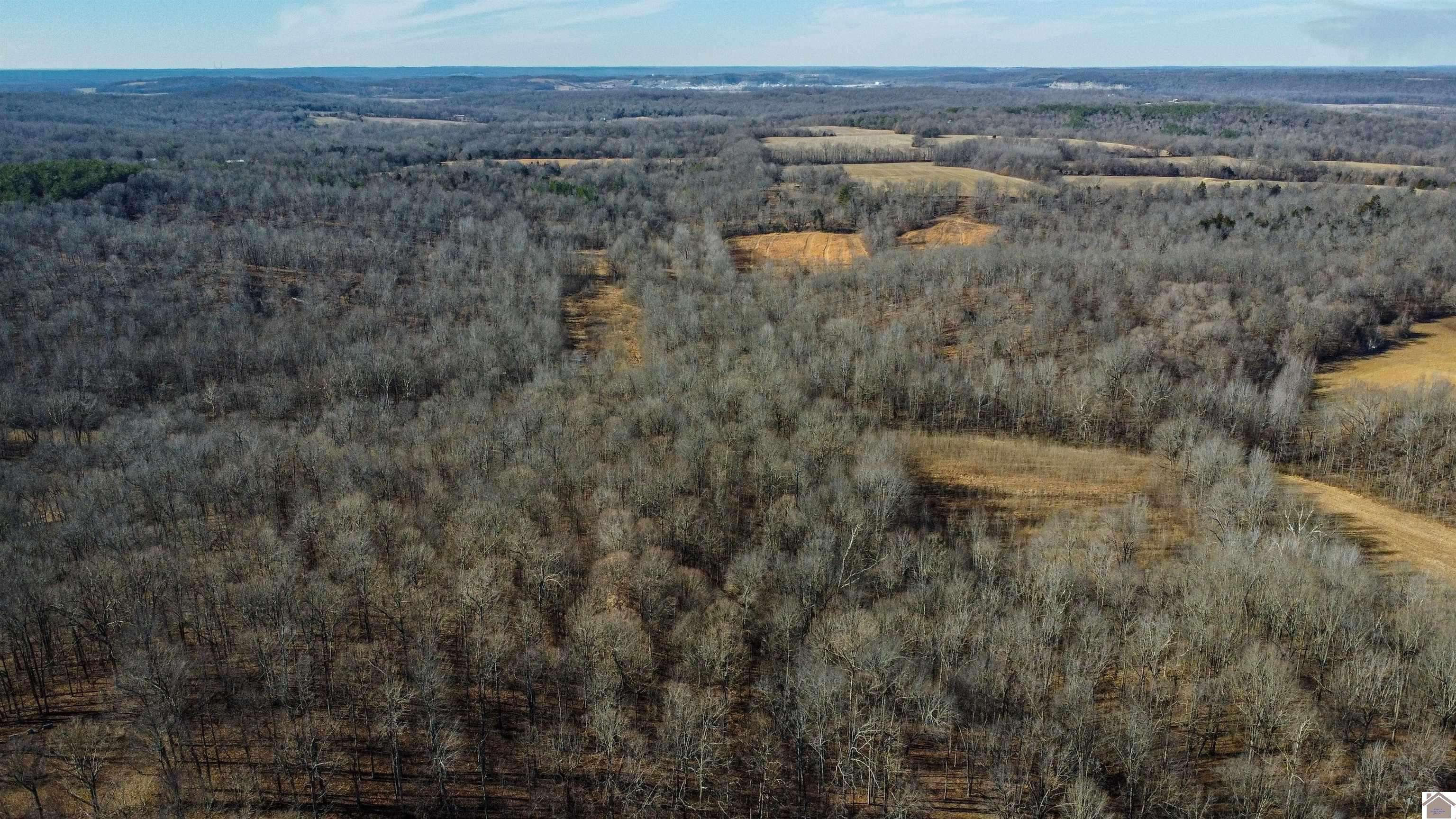 Smithland, KY 42081,000 Dunlap Rd & Dodds Taylor Rd
