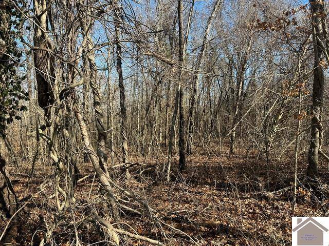 Hardin, KY 42048,00 Fred Jones Road