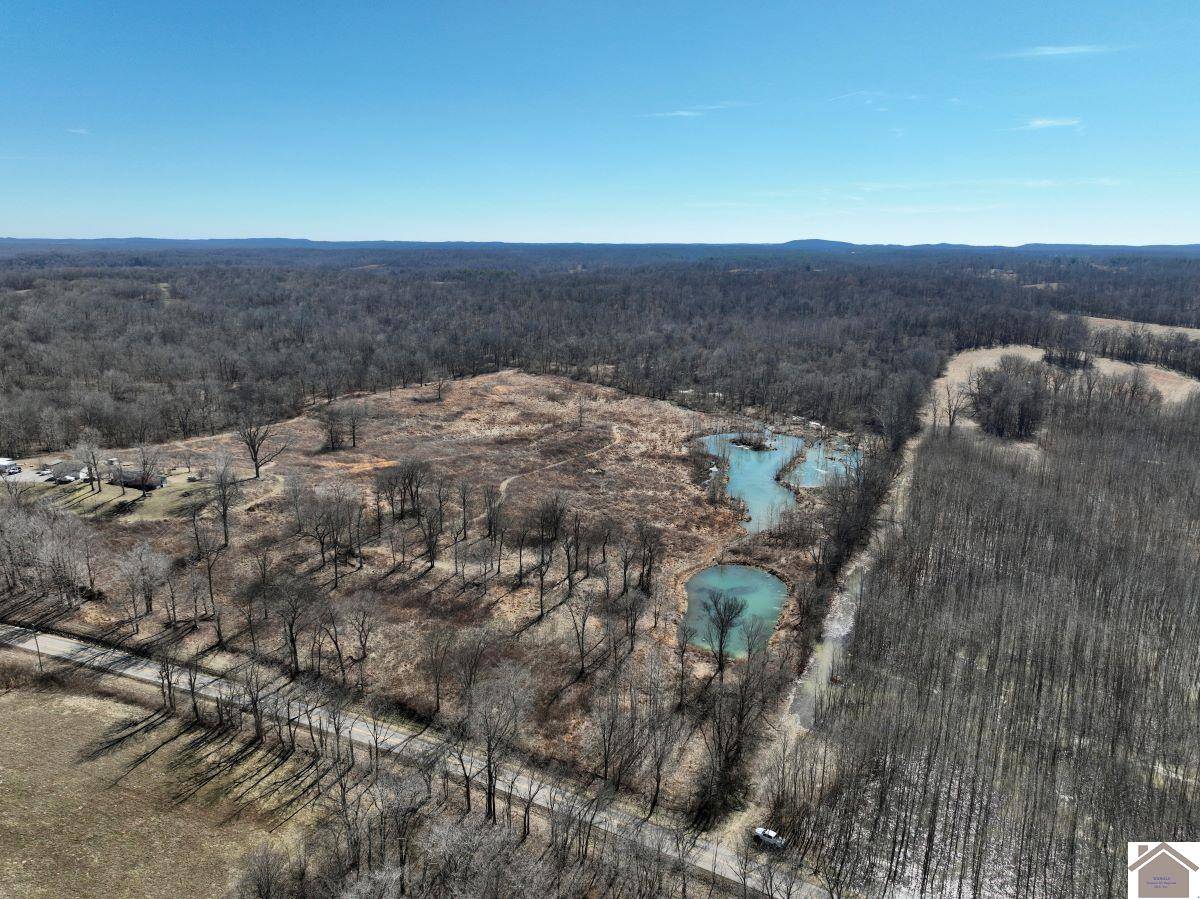 Marion, KY 42064,000 State Route 135