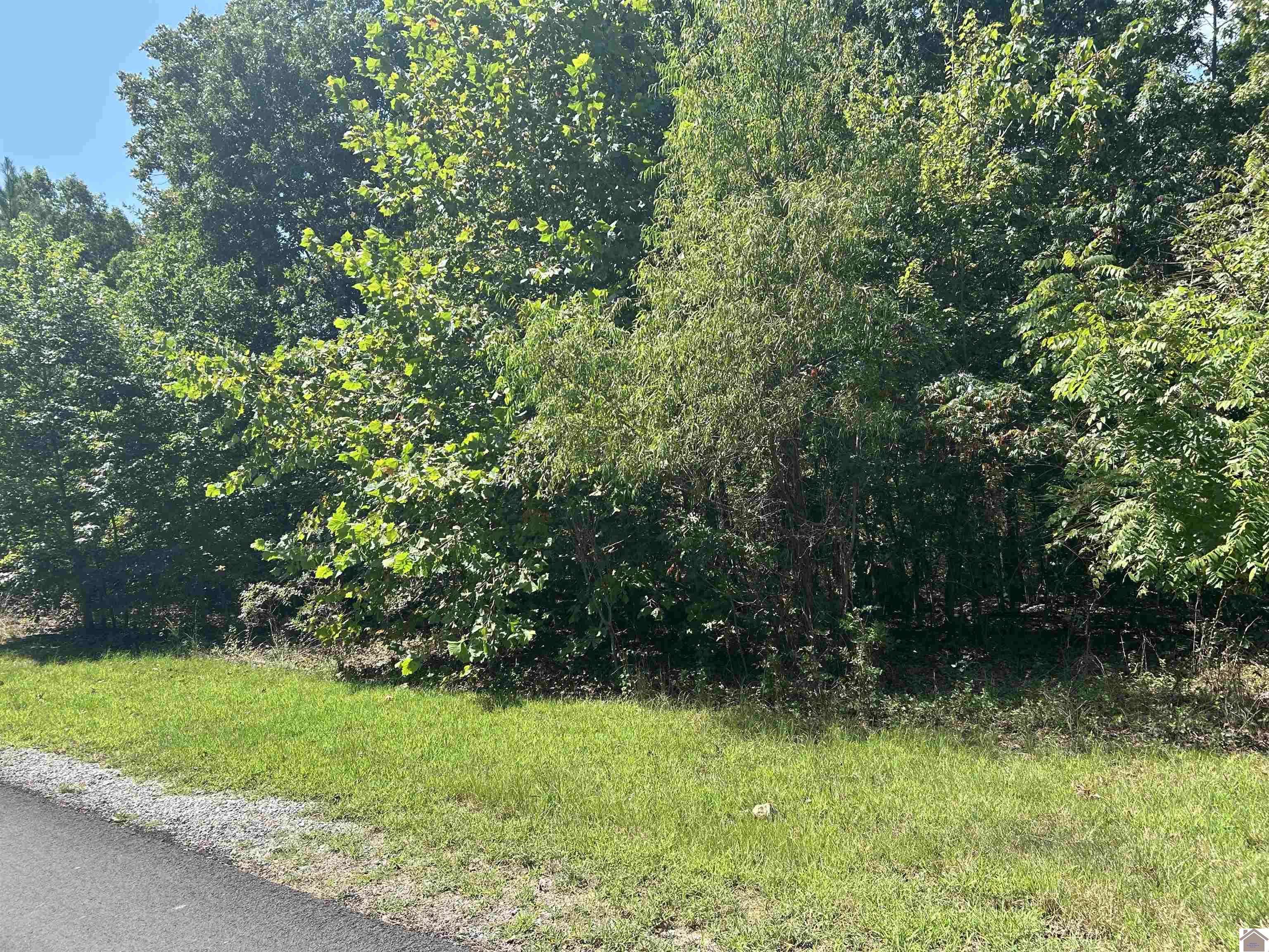 Murray, KY 42071,151 Centerview Road